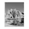 Stupell Industries Black & White Desert Landscape Photograph Wall Plaque